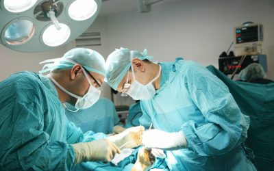 On the Screen: reality or fiction